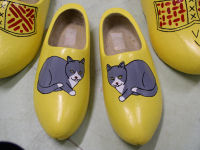 repainted wooden shoes